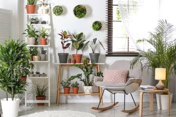 Hogar y jardin