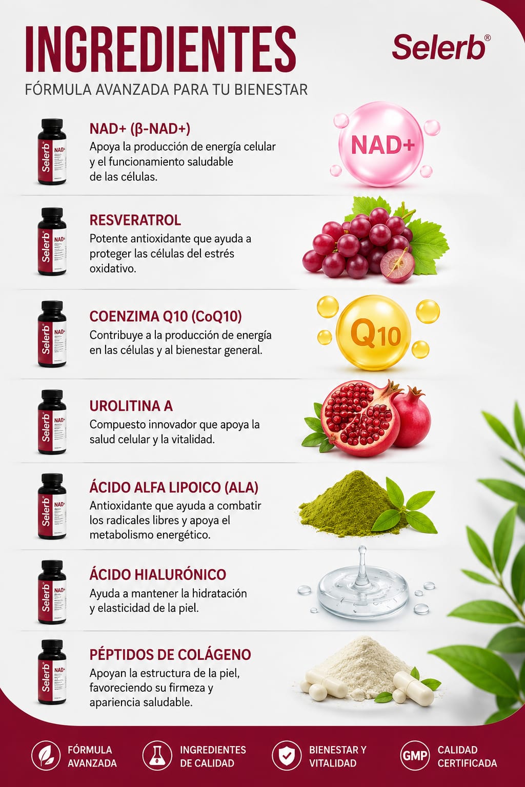 SELERB NAD+ Para mujer 60 Cápsulas